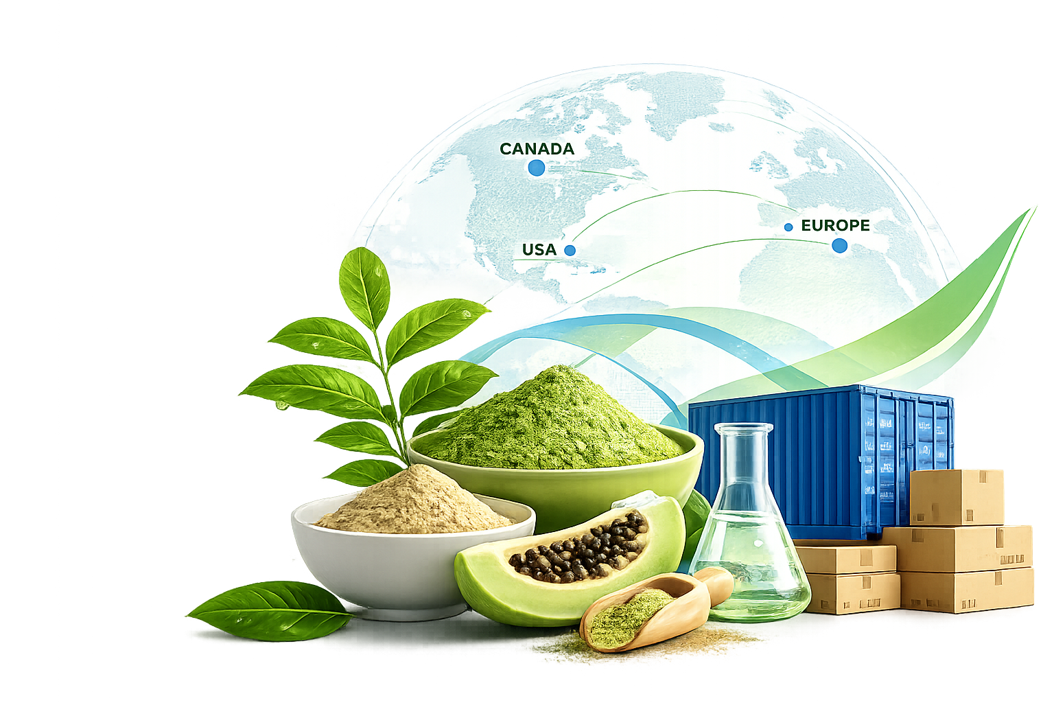 Global Supply Chain Illustration